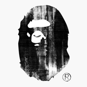 Meet your Posher, Nolan